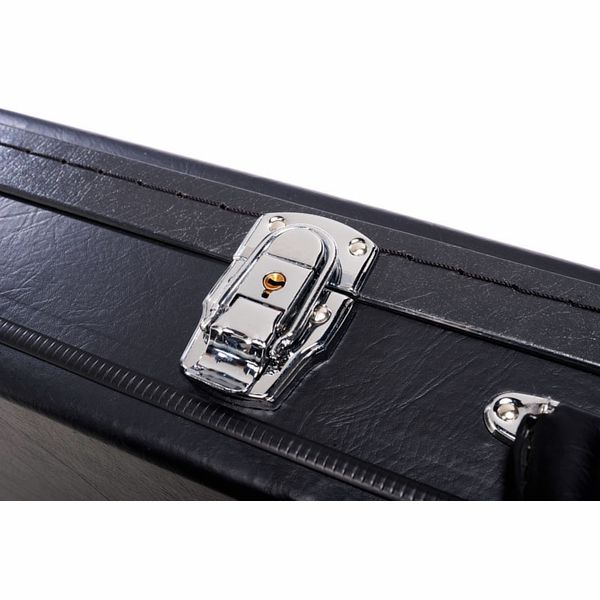 Epiphone Case Thunderbird