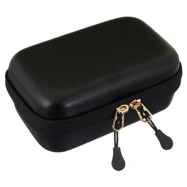 Positive Grid Spark Go Case