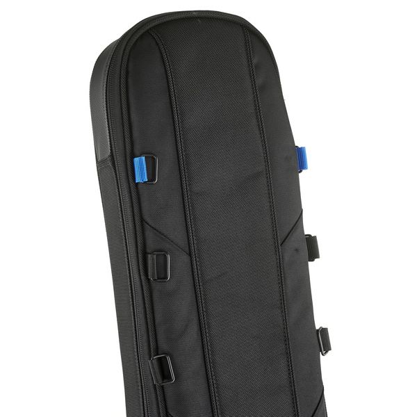 Reunion Blues Exp Electric Bass Guitar Case