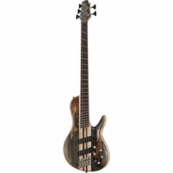 Multiscale basser