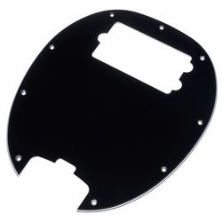 Autres Pickguards + Accessoires